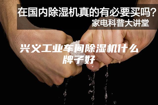 興義工業(yè)車間除濕機什么牌子好