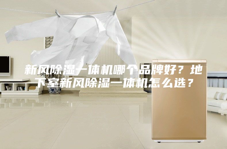 新風(fēng)除濕一體機(jī)哪個(gè)品牌好？地下室新風(fēng)除濕一體機(jī)怎么選？