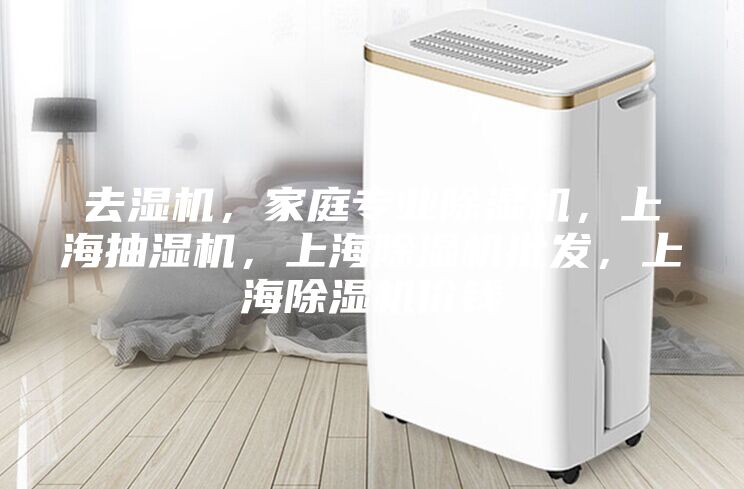 去濕機，家庭專業除濕機，上海抽濕機，上海除濕機批發，上海除濕機價錢