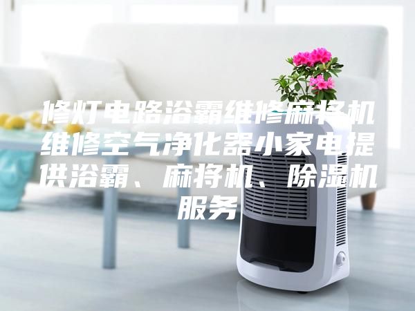 修燈電路浴霸維修麻將機(jī)維修空氣凈化器小家電提供浴霸、麻將機(jī)、除濕機(jī)服務(wù)