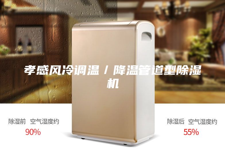孝感風冷調溫／降溫管道型除濕機