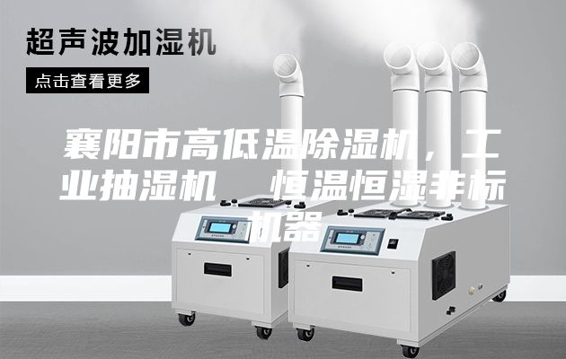 襄陽(yáng)市高低溫除濕機(jī)，工業(yè)抽濕機(jī)  恒溫恒濕非標(biāo)機(jī)器