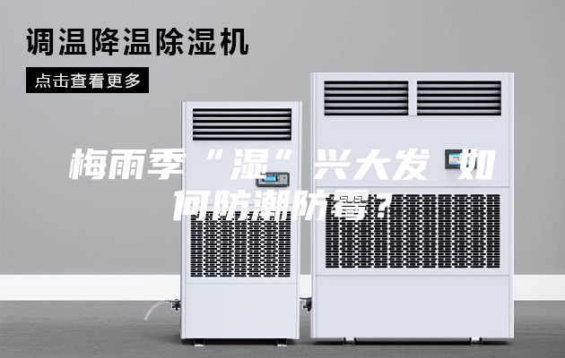 梅雨季“濕”興大發 如何防潮防霉？
