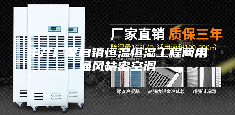 生產廠家自銷恒溫恒濕工程商用通風精密空調