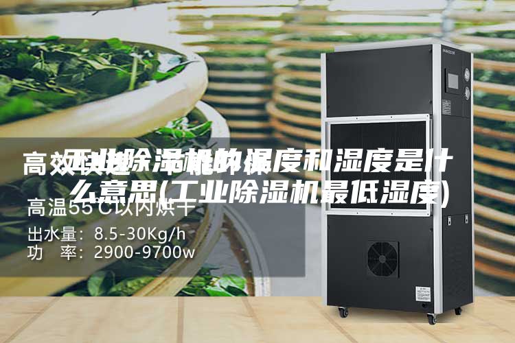 工業(yè)除濕機的溫度和濕度是什么意思(工業(yè)除濕機最低濕度)