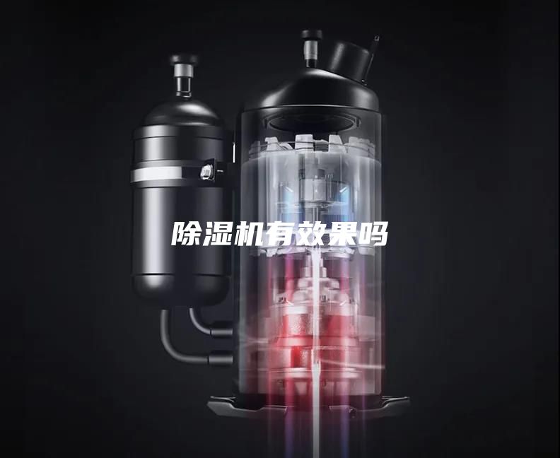 除濕機(jī)有效果嗎
