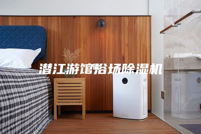潛江游館浴場除濕機