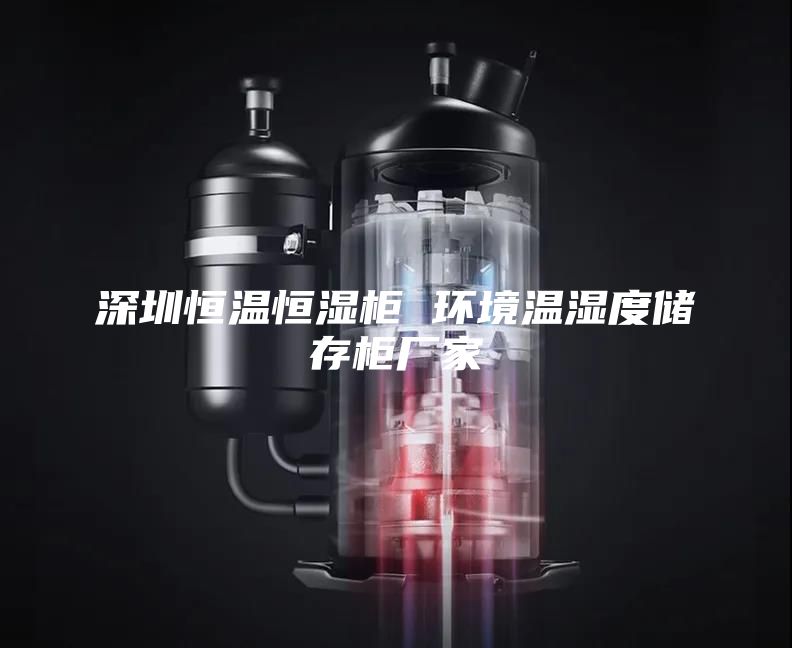 深圳恒溫恒濕柜 環境溫濕度儲存柜廠家