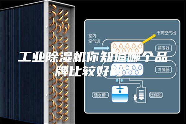 工業除濕機你知道哪個品牌比較好嗎？