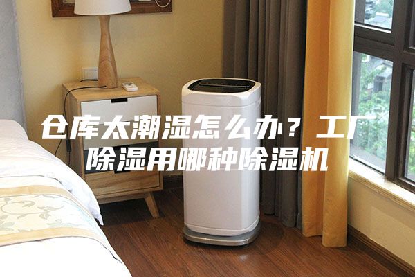 倉庫太潮濕怎么辦？工廠除濕用哪種除濕機