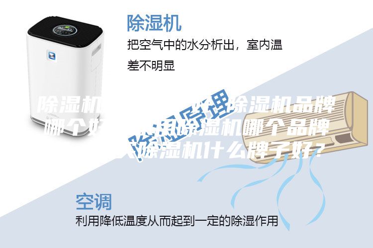 除濕機哪個牌子好 除濕機品牌哪個好？家用除濕機哪個品牌好，想買除濕機什么牌子好？