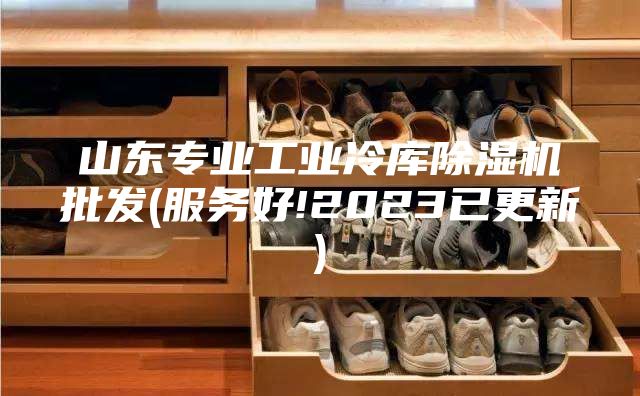山東專業(yè)工業(yè)冷庫除濕機(jī)批發(fā)(服務(wù)好!2023已更新)