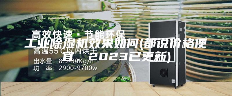 工業(yè)除濕機效果如何(都說價格便宜，2023已更新)