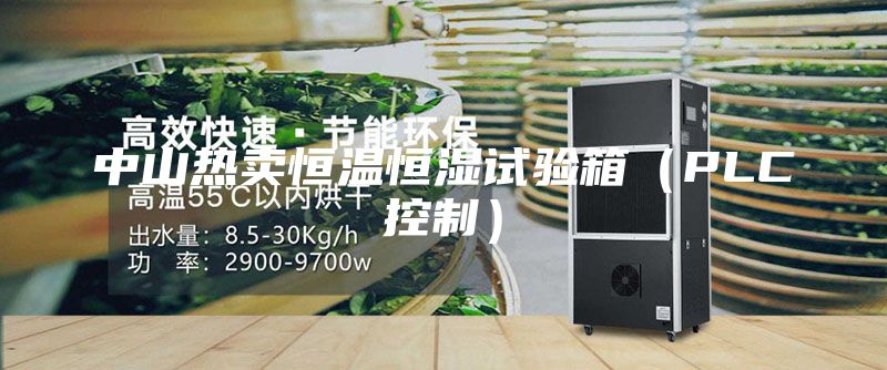 中山熱賣恒溫恒濕試驗(yàn)箱（PLC控制）