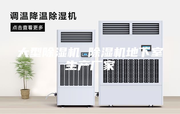大型除濕機 除濕機地下室生產(chǎn)廠家