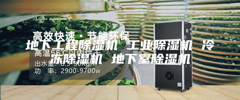 地下工程除濕機 工業除濕機 冷凍除濕機 地下室除濕機
