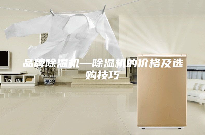 品牌除濕機(jī)—除濕機(jī)的價(jià)格及選購技巧
