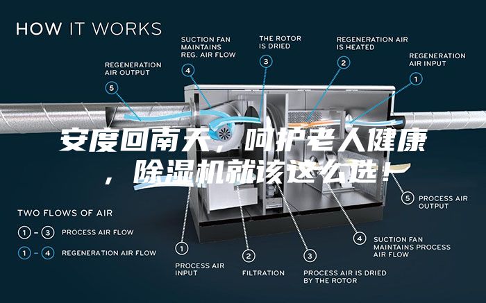 安度回南天，呵護老人健康，除濕機就該這么選！