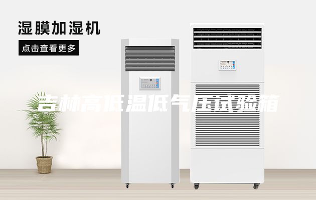 吉林高低溫低氣壓試驗箱