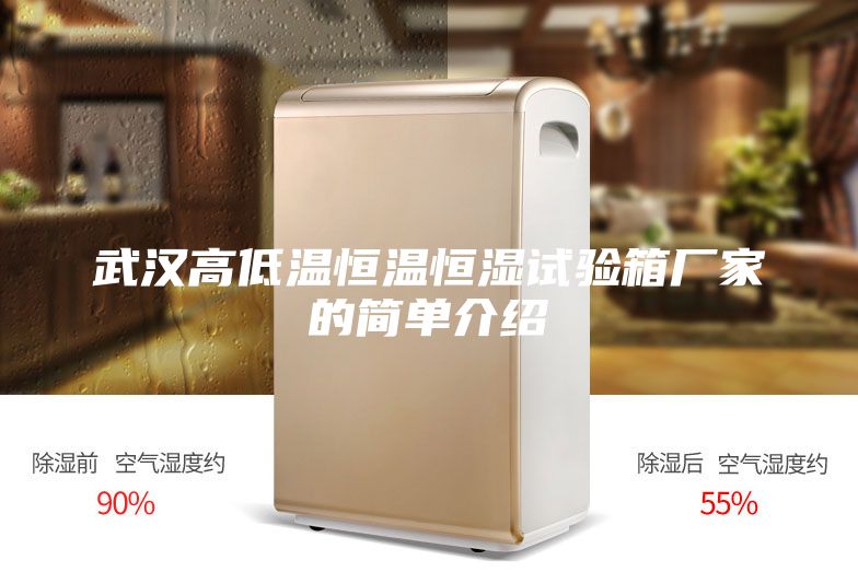 武漢高低溫恒溫恒濕試驗箱廠家的簡單介紹