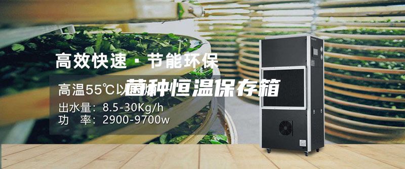 菌種恒溫保存箱