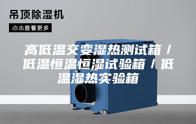 高低溫交變濕熱測試箱／低溫恒溫恒濕試驗箱／低溫濕熱實驗箱