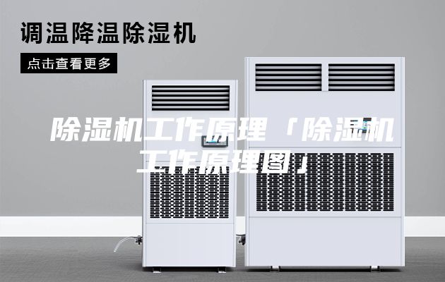 除濕機工作原理「除濕機工作原理圖」