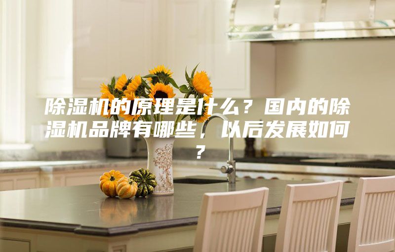 除濕機(jī)的原理是什么？國(guó)內(nèi)的除濕機(jī)品牌有哪些，以后發(fā)展如何？