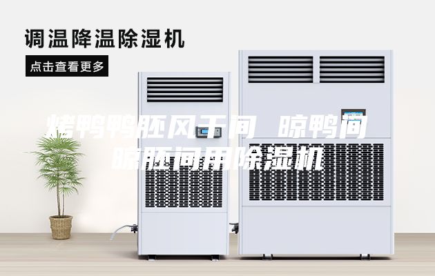 烤鴨鴨胚風干間 晾鴨間 晾胚間用除濕機
