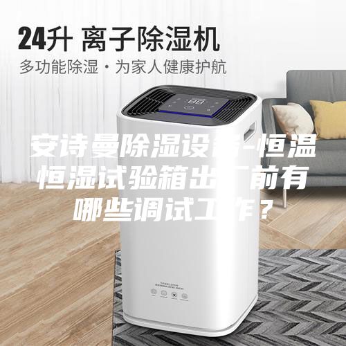 安詩曼除濕設備-恒溫恒濕試驗箱出廠前有哪些調試工作？