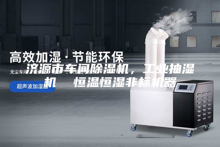 濟源市車間除濕機，工業抽濕機  恒溫恒濕非標機器