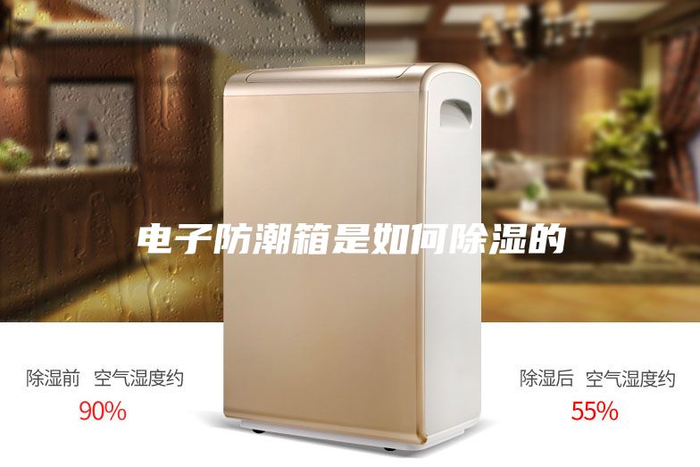 電子防潮箱是如何除濕的