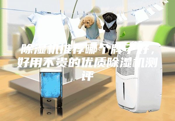 除濕機推薦哪個牌子好,好用不貴的優質除濕機測評