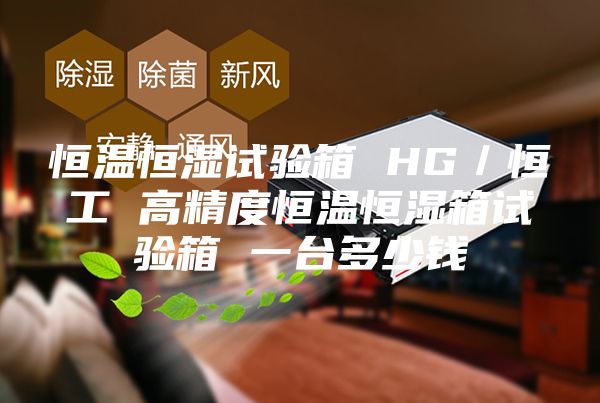恒溫恒濕試驗(yàn)箱 HG／恒工 高精度恒溫恒濕箱試驗(yàn)箱 一臺(tái)多少錢