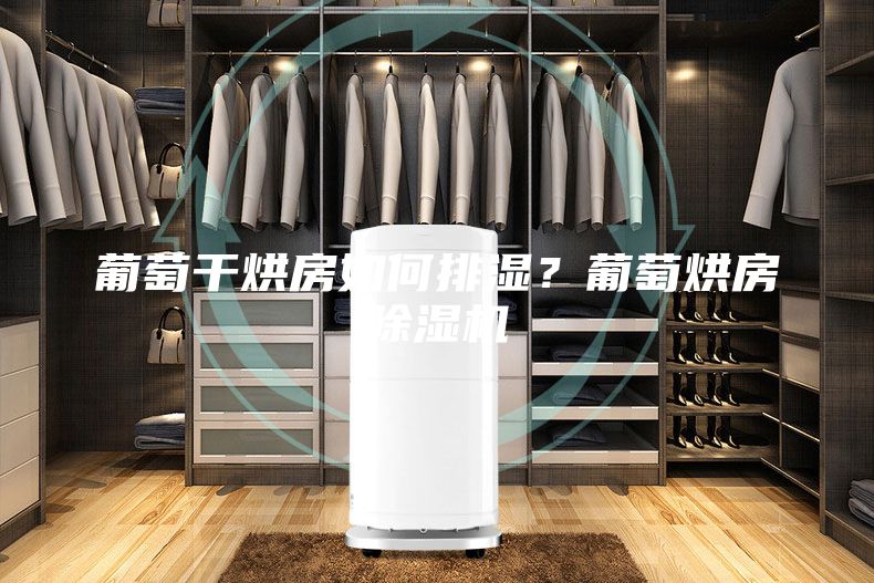 葡萄干烘房如何排濕？葡萄烘房除濕機