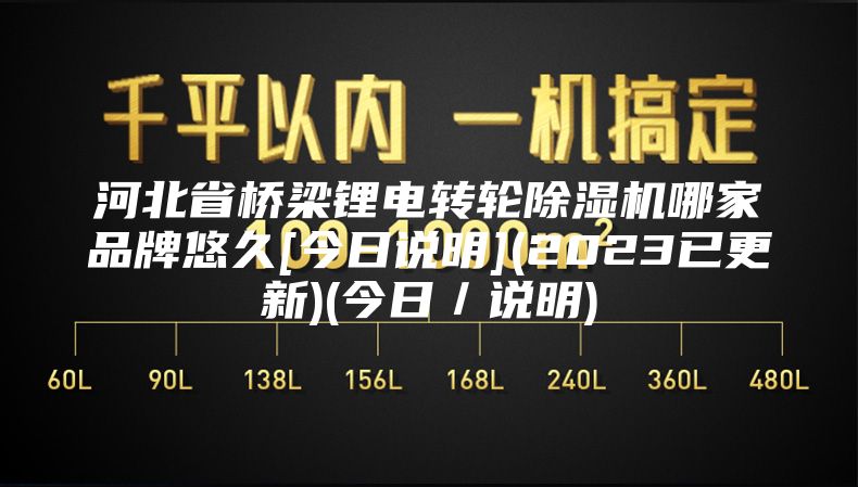 河北省橋梁鋰電轉(zhuǎn)輪除濕機(jī)哪家品牌悠久[今日說明](2023已更新)(今日／說明)