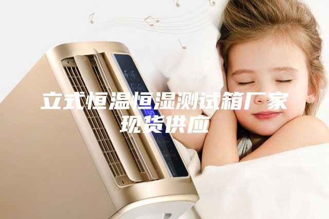 立式恒溫恒濕測試箱廠家現貨供應