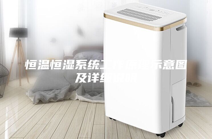 恒溫恒濕系統工作原理示意圖及詳細說明
