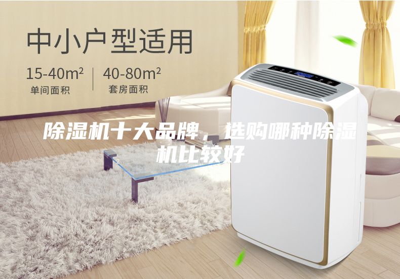 除濕機(jī)十大品牌，選購(gòu)哪種除濕機(jī)比較好