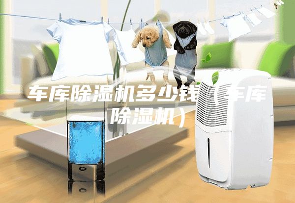 車庫除濕機多少錢（車庫除濕機）