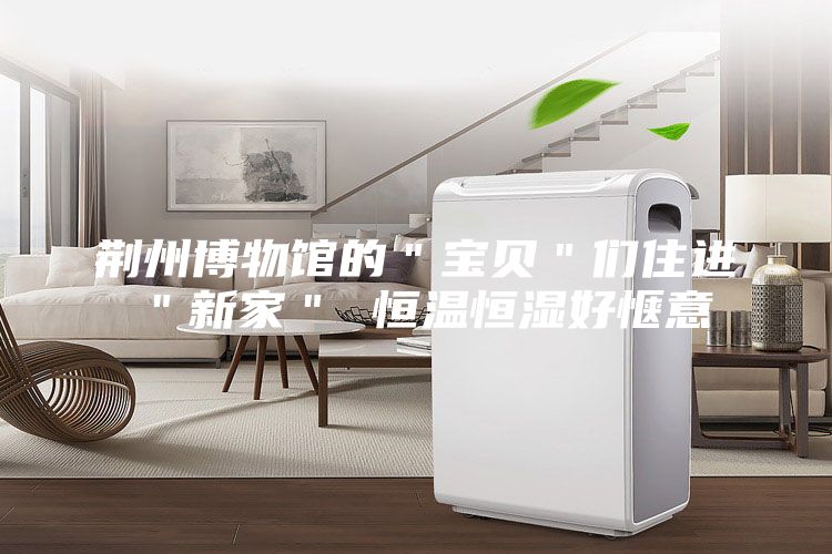 荊州博物館的＂寶貝＂們住進＂新家＂ 恒溫恒濕好愜意