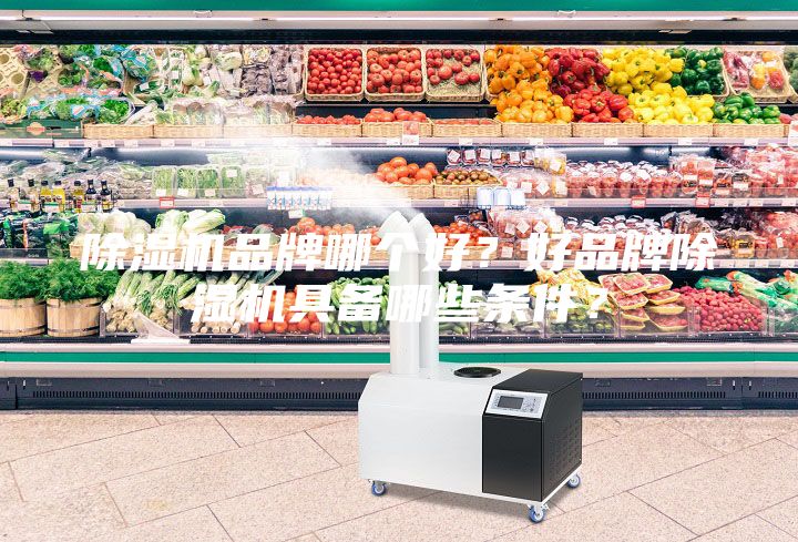 除濕機(jī)品牌哪個好？好品牌除濕機(jī)具備哪些條件？
