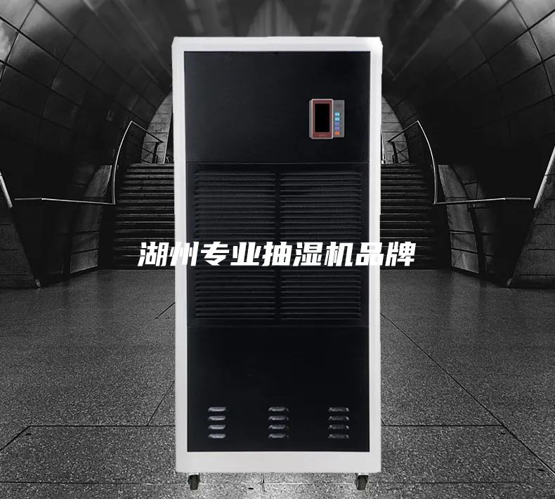 湖州專(zhuān)業(yè)抽濕機(jī)品牌