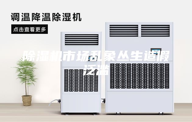 除濕機(jī)市場(chǎng)亂象叢生造假泛濫