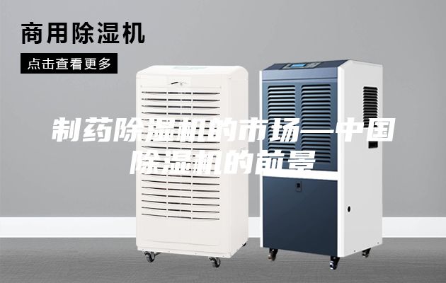 制藥除濕機的市場—中國除濕機的前景
