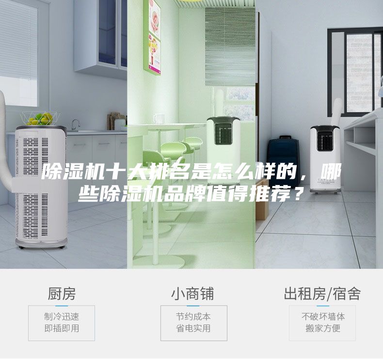 除濕機十大排名是怎么樣的，哪些除濕機品牌值得推薦？