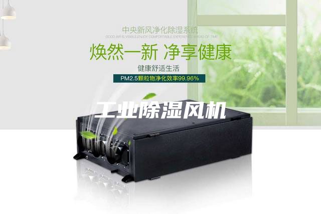 工業除濕風機