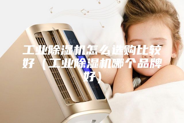 工業除濕機怎么選購比較好(工業除濕機哪個品牌好)