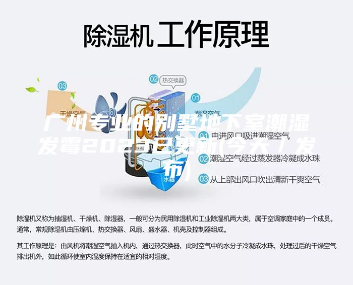 廣州專業(yè)的別墅地下室潮濕發(fā)霉2023已更新(今天／發(fā)布)
