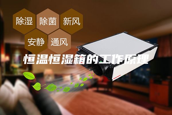 恒溫恒濕箱的工作原理